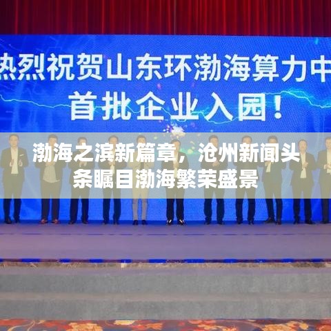 渤海之濱新篇章，滄州新聞頭條矚目渤海繁榮盛景
