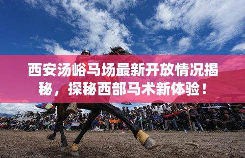西安湯峪馬場最新開放情況揭秘，探秘西部馬術(shù)新體驗！