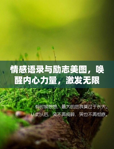 情感語錄與勵志美圖，喚醒內(nèi)心力量，激發(fā)無限潛能