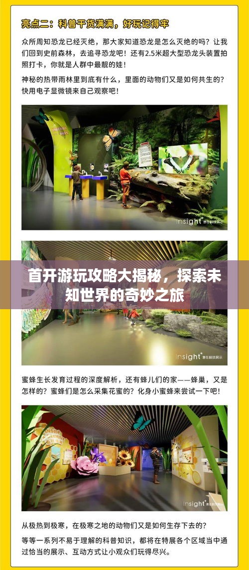 首開游玩攻略大揭秘，探索未知世界的奇妙之旅