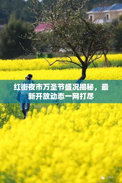 紅街夜市萬(wàn)圣節(jié)盛況揭秘，最新開放動(dòng)態(tài)一網(wǎng)打盡