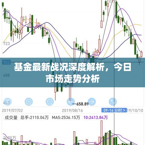 基金最新戰(zhàn)況深度解析，今日市場(chǎng)走勢(shì)分析