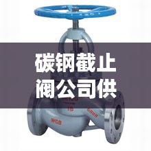 碳鋼截止閥公司供應(yīng)排名榜單揭曉！