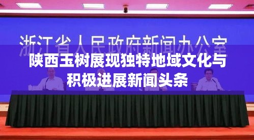 陜西玉樹展現(xiàn)獨(dú)特地域文化與積極進(jìn)展新聞?lì)^條