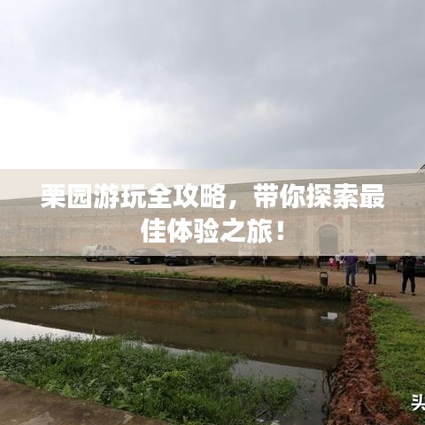 栗園游玩全攻略，帶你探索最佳體驗之旅！