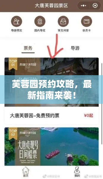 芙蓉園預(yù)約攻略，最新指南來(lái)襲！