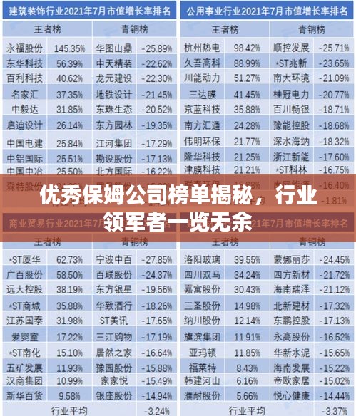 優(yōu)秀保姆公司榜單揭秘，行業(yè)領(lǐng)軍者一覽無余