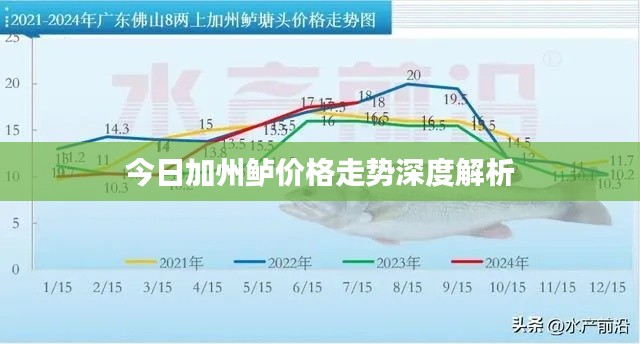 今日加州鱸價(jià)格走勢(shì)深度解析