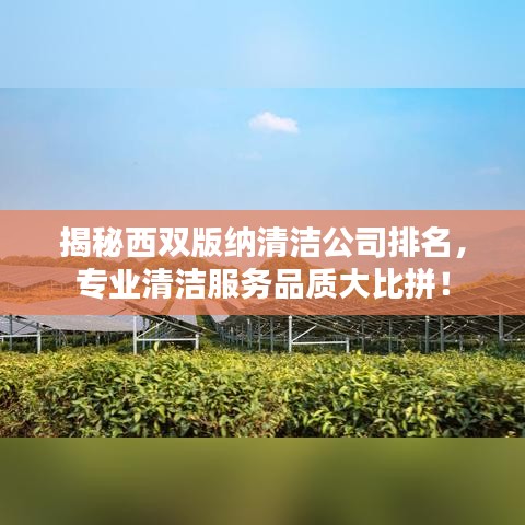 揭秘西雙版納清潔公司排名，專業(yè)清潔服務(wù)品質(zhì)大比拼！