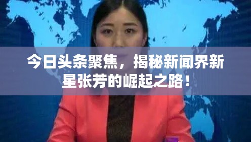 今日頭條聚焦，揭秘新聞界新星張芳的崛起之路！