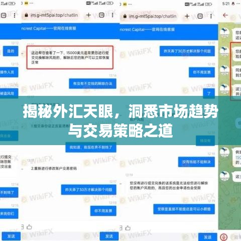 揭秘外匯天眼，洞悉市場趨勢與交易策略之道