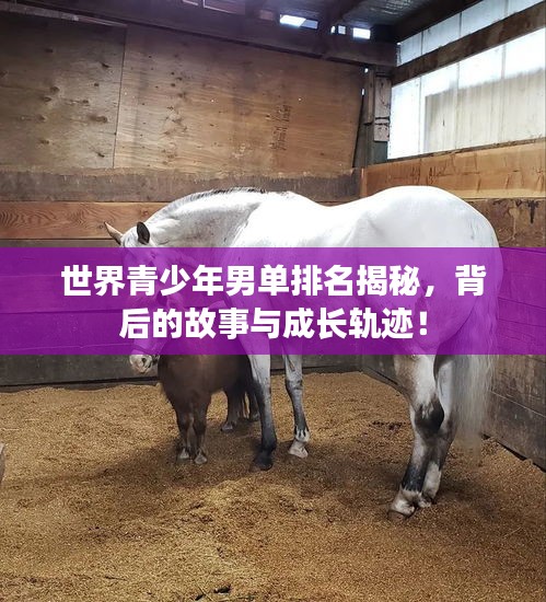 世界青少年男單排名揭秘，背后的故事與成長軌跡！