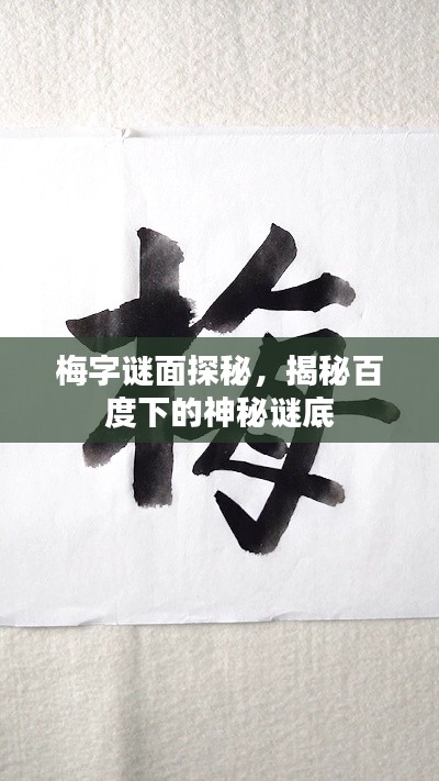 梅字謎面探秘，揭秘百度下的神秘謎底