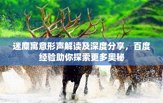 迷麋寓意形聲解讀及深度分享，百度經(jīng)驗(yàn)助你探索更多奧秘