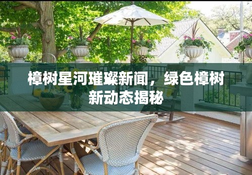 樟樹星河璀璨新聞，綠色樟樹新動態(tài)揭秘