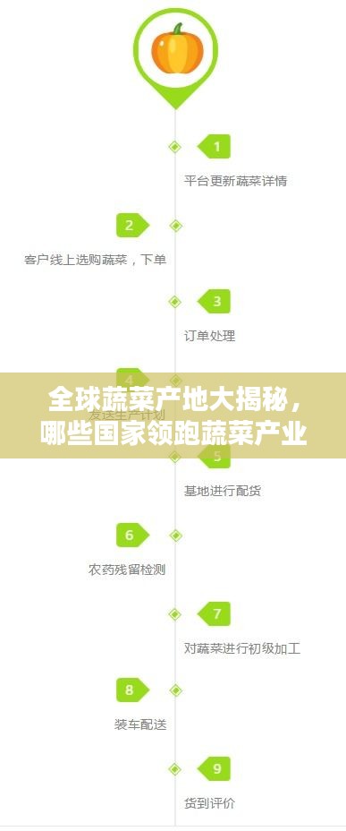 全球蔬菜產(chǎn)地大揭秘，哪些國(guó)家領(lǐng)跑蔬菜產(chǎn)業(yè)榜單？