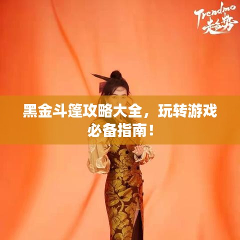 黑金斗篷攻略大全，玩轉(zhuǎn)游戲必備指南！