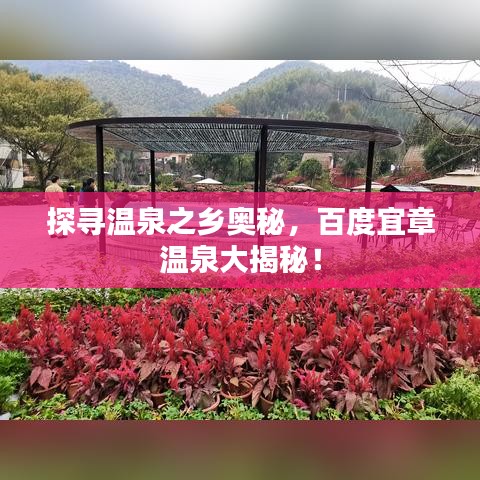 探尋溫泉之鄉(xiāng)奧秘，百度宜章溫泉大揭秘！