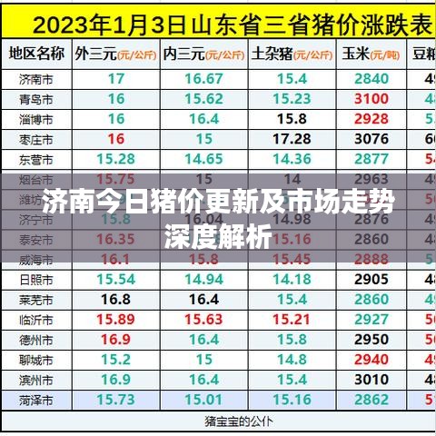 濟(jì)南今日豬價(jià)更新及市場(chǎng)走勢(shì)深度解析