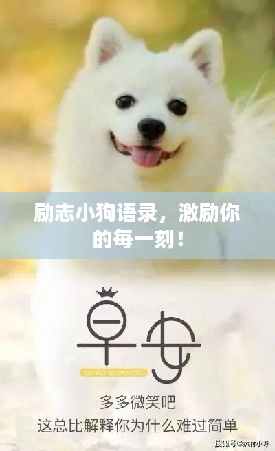 只爭(zhēng)朝夕 第2頁(yè)