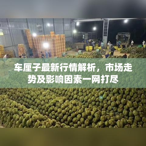 車?yán)遄幼钚滦星榻馕?，市?chǎng)走勢(shì)及影響因素一網(wǎng)打盡