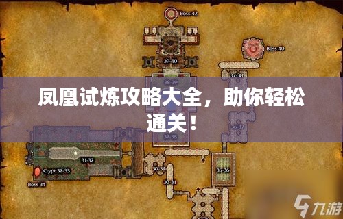 鳳凰試煉攻略大全，助你輕松通關(guān)！