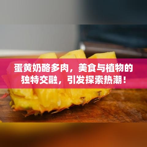 蛋黃奶酪多肉，美食與植物的獨特交融，引發(fā)探索熱潮！