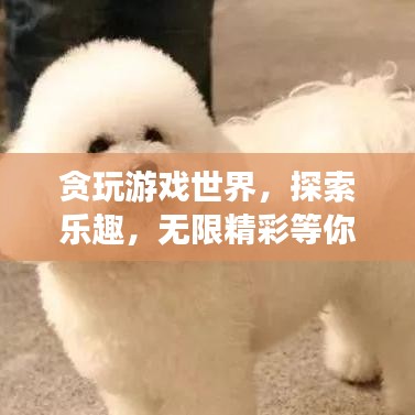 貪玩游戲世界，探索樂(lè)趣，無(wú)限精彩等你發(fā)現(xiàn)！