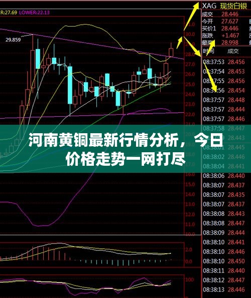 河南黃銅最新行情分析，今日價格走勢一網(wǎng)打盡