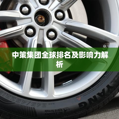 中策集團全球排名及影響力解析