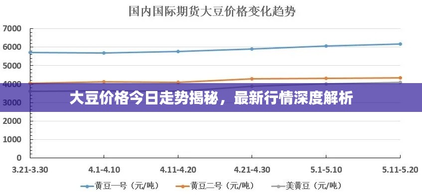 大豆價(jià)格今日走勢(shì)揭秘，最新行情深度解析