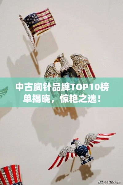 中古胸針品牌TOP10榜單揭曉，驚艷之選！