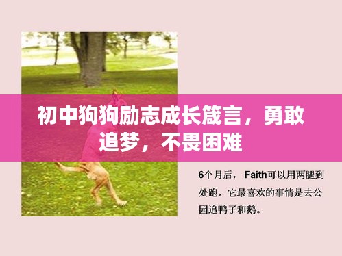 初中狗狗勵志成長箴言，勇敢追夢，不畏困難