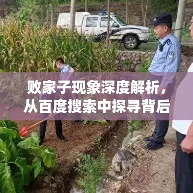 敗家子現(xiàn)象深度解析，從百度搜索中探尋背后的故事