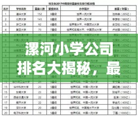 漯河小學公司排名大揭秘，最新榜單，家長必看！
