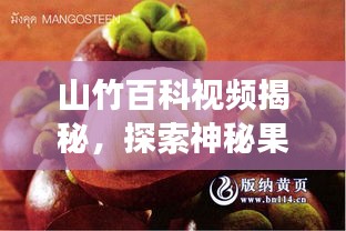 亭亭玉立 第2頁(yè)