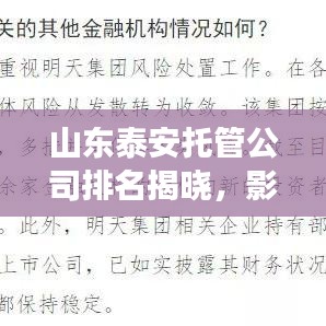 山東泰安托管公司排名揭曉，影響力深度剖析
