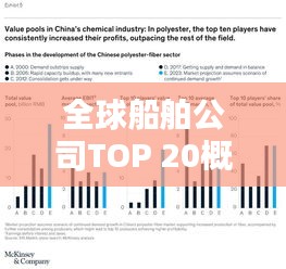 全球船舶公司TOP 20概覽，排名與實(shí)力解析