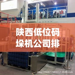 陜西低位碼垛機(jī)公司排名TOP榜揭曉！