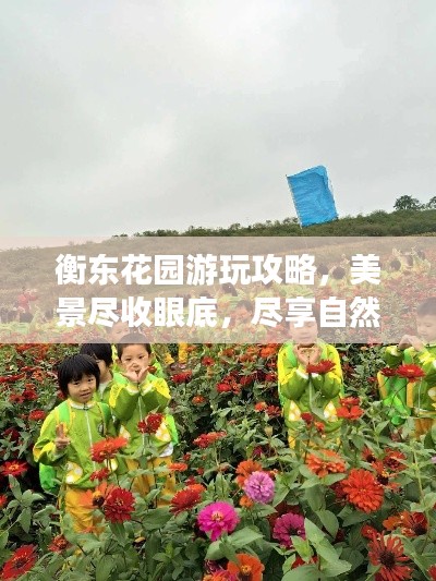 衡東花園游玩攻略，美景盡收眼底，盡享自然之旅！