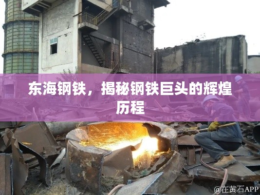 東海鋼鐵，揭秘鋼鐵巨頭的輝煌歷程