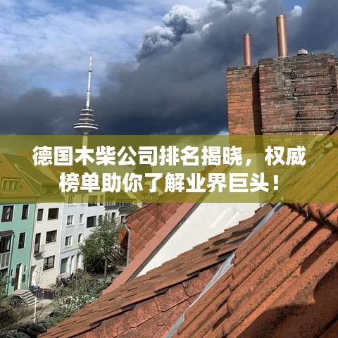 德國木柴公司排名揭曉，權(quán)威榜單助你了解業(yè)界巨頭！