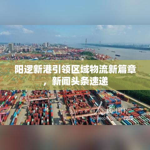 陽邏新港引領(lǐng)區(qū)域物流新篇章，新聞頭條速遞