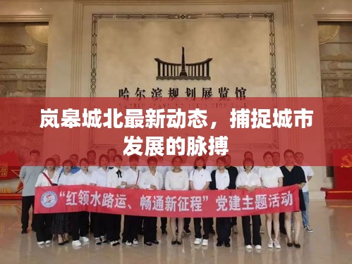 嵐皋城北最新動態(tài)，捕捉城市發(fā)展的脈搏