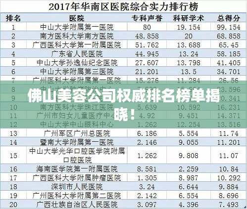 佛山美容公司權(quán)威排名榜單揭曉！