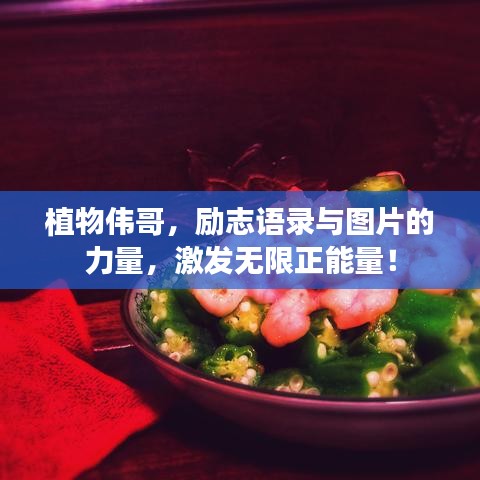 植物偉哥，勵志語錄與圖片的力量，激發(fā)無限正能量！