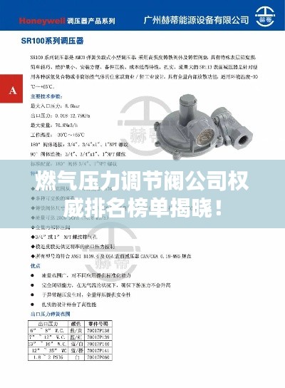 燃?xì)鈮毫φ{(diào)節(jié)閥公司權(quán)威排名榜單揭曉！