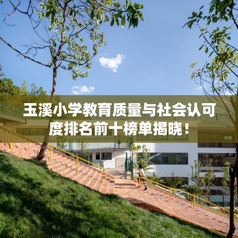 玉溪小學(xué)教育質(zhì)量與社會(huì)認(rèn)可度排名前十榜單揭曉！