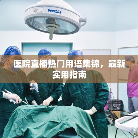 醫(yī)院直播熱門用語集錦，最新實用指南