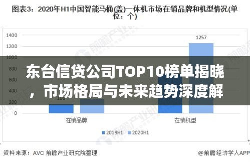 東臺信貸公司TOP10榜單揭曉，市場格局與未來趨勢深度解讀